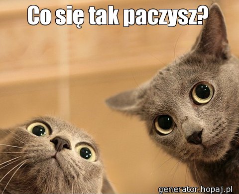 Co się tak paczysz?