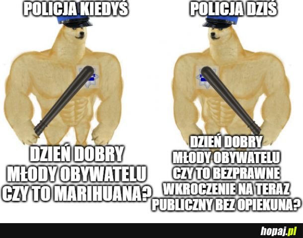 Bo nie ma innych przestępców