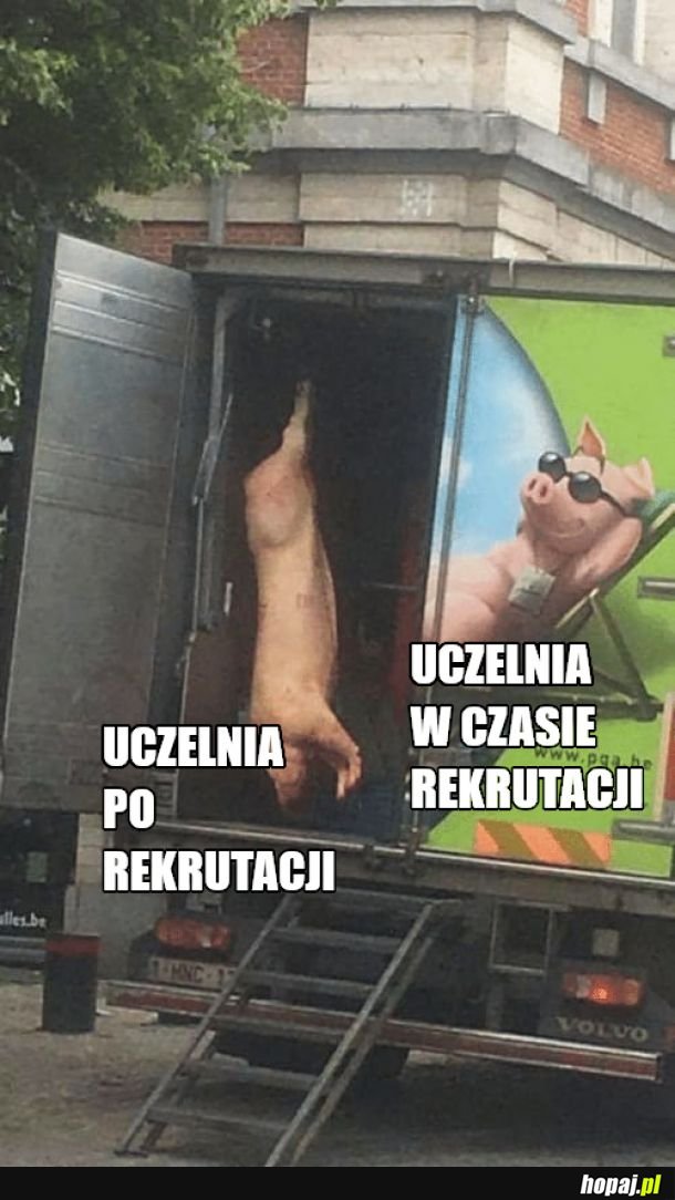  Podrzucili nam świnię! 