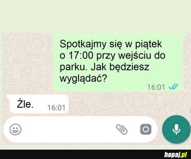 Spotkanie z internetu