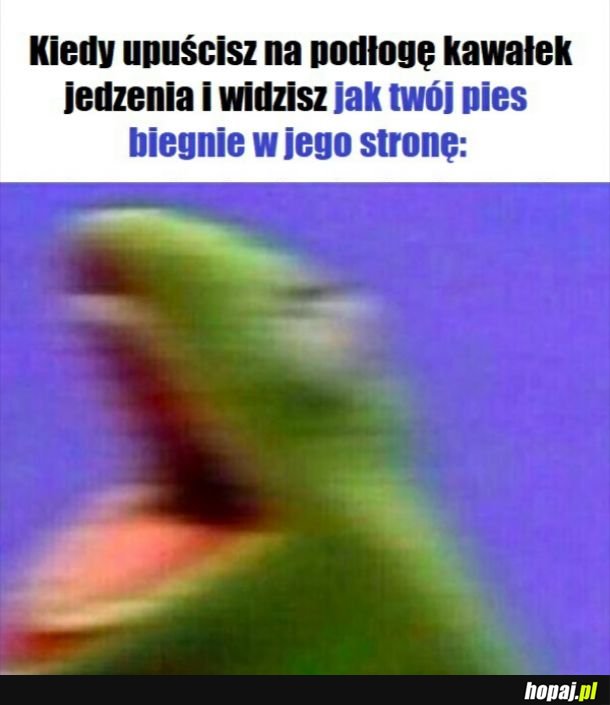 Dobry pieseł.