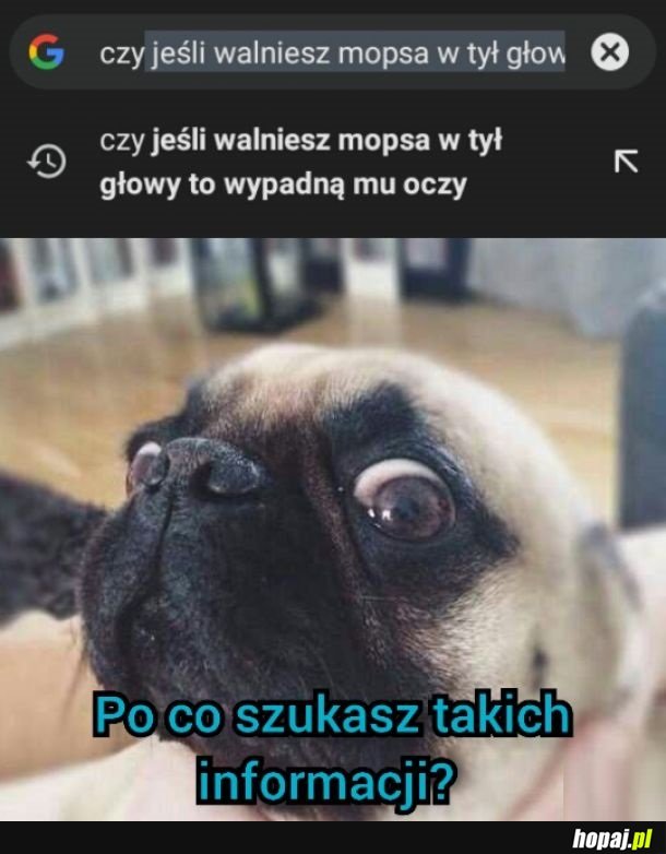 Nie bój się piesku