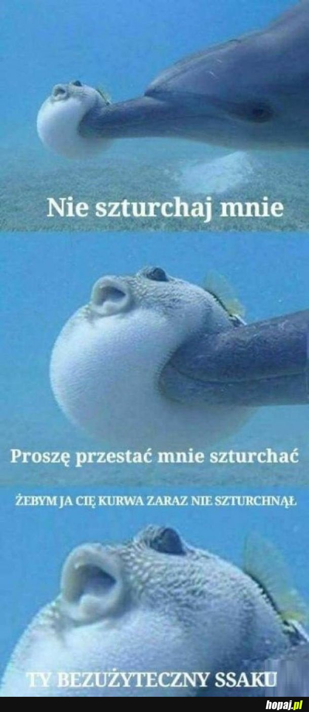 Nie ma takiego szturchania