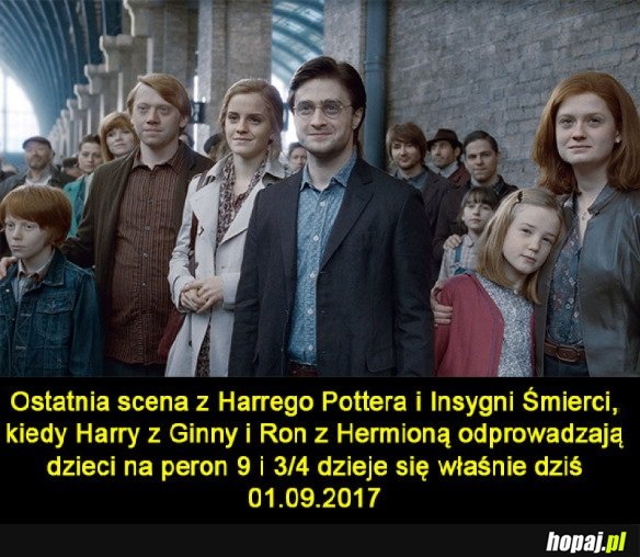 TO JUŻ DZIŚ! KTO DOSTAŁ LIST Z HOGWARTU