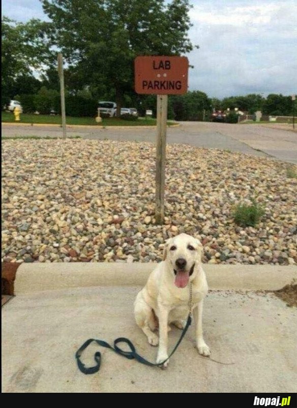 LAB PARKING