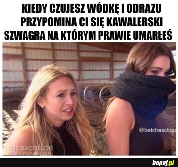 NIGDY WIĘCEJ...