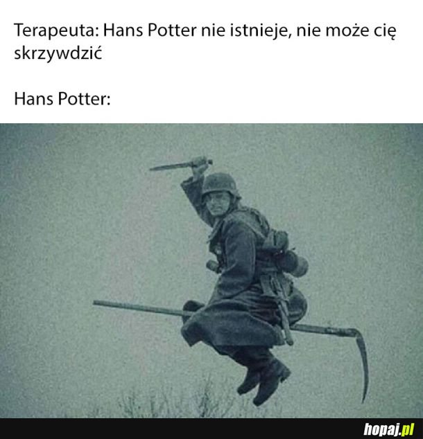 Hans Potter