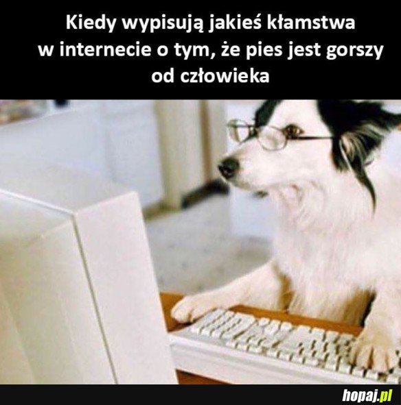 KŁAMSTWA W INTERNECIE