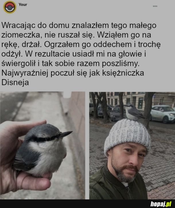 Nowy przyjaciel