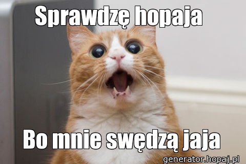 Sprawdzę hopaja 