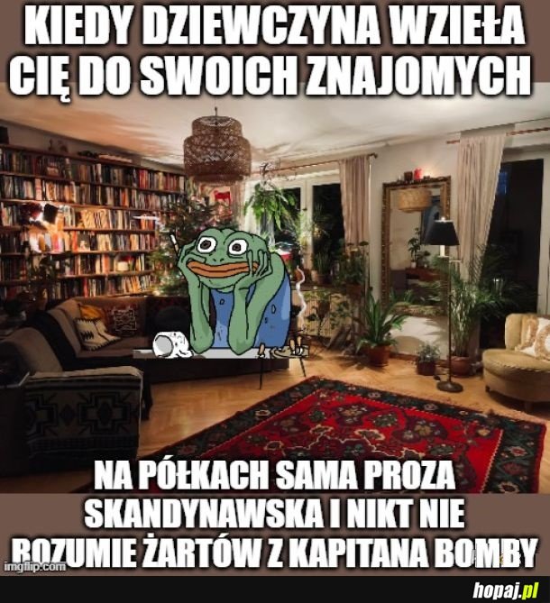 Socjalizowanie