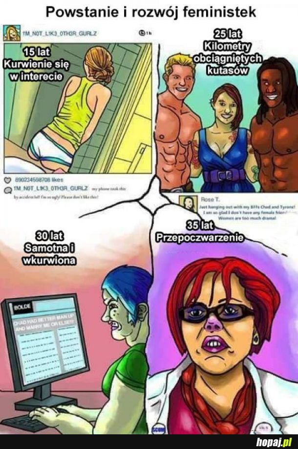 Feministki 