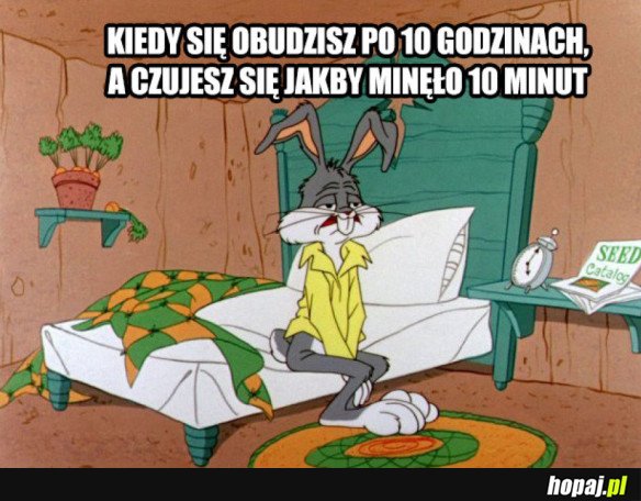 10 GODZIN SNU