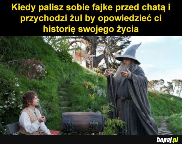 Historia życia