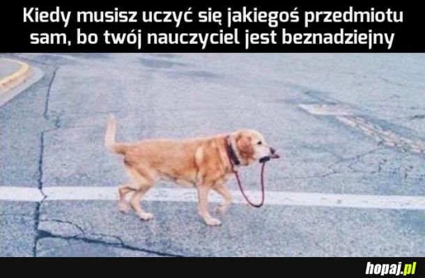 Za co mu płacą