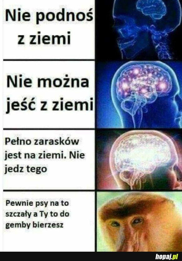 POLAK WYJAŚNIŁ