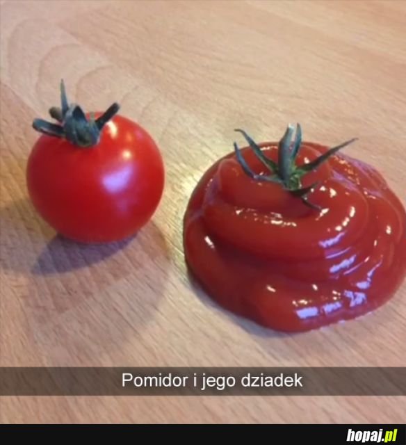 Zdjęcie rodzinne