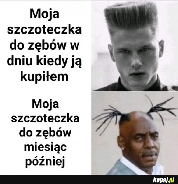 Moja szczoteczka do zębów