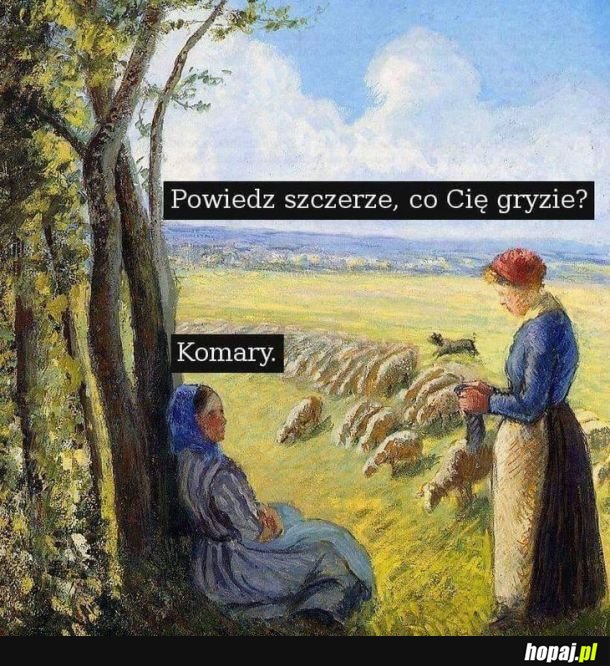 Nienawidzę
