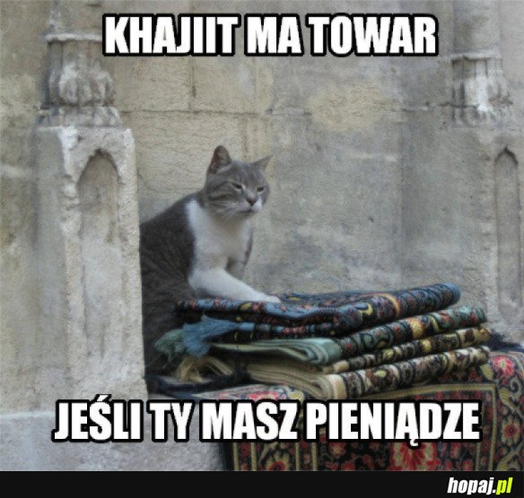 TYMCZASEM W SKYRIM