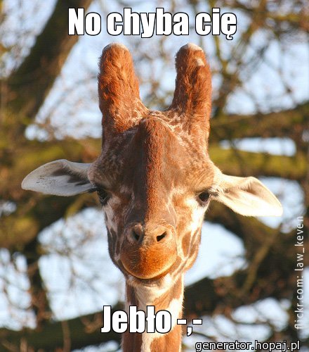 No chyba cię