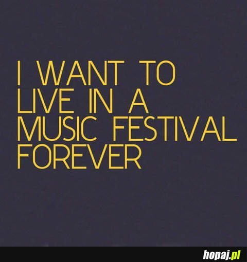 I want to live in a music festival