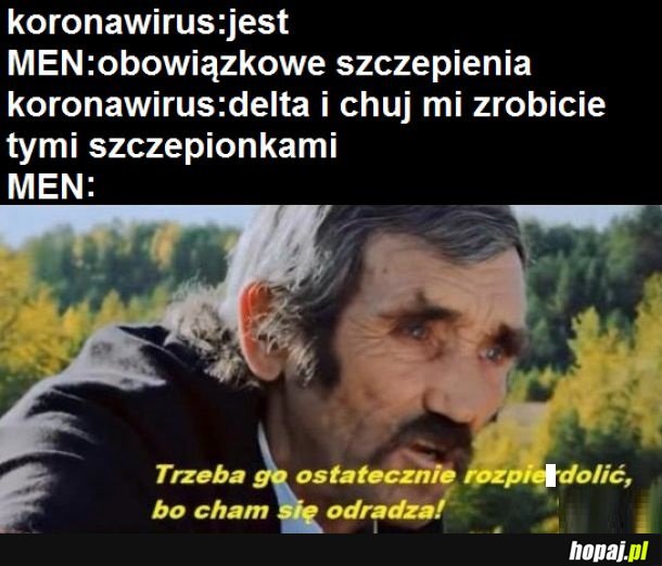 Ewoluuje jak pokemony