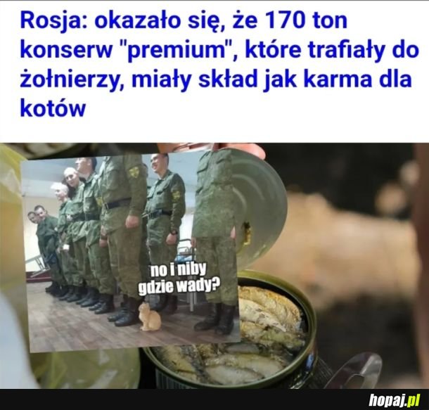 To i tak nieźle