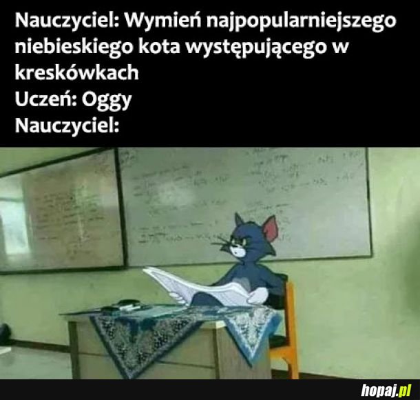  Najpopularniejszy niebieski kot 