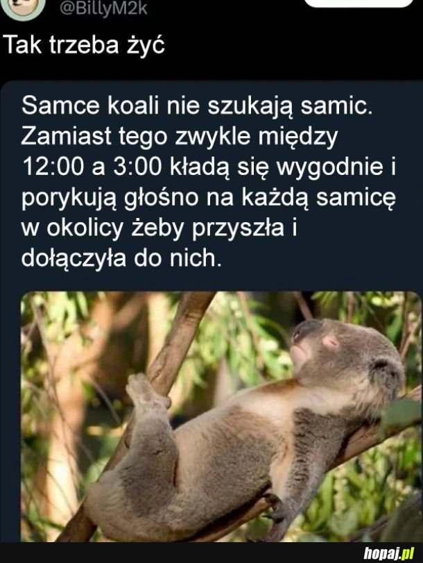 Tak trzeba żyć