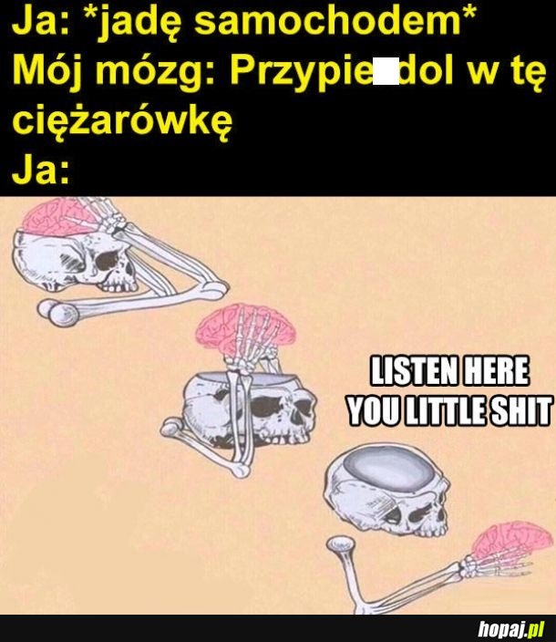 Mózgu, dlaczego