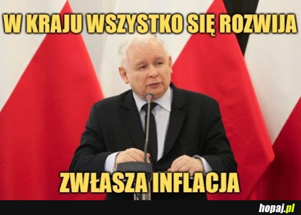 Hura!... Czekaj... Co??