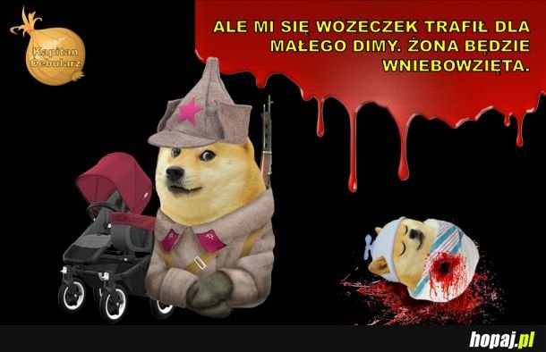 Krótka rozprawa o zdroworozsądkowym konserwatyzmie i walce o tradycyjne europejskie wartości. A tak poza tym to uważam, że Rosja powinna zostać zniszczona.