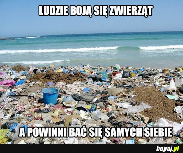 Ludzie to dziwny gatunek