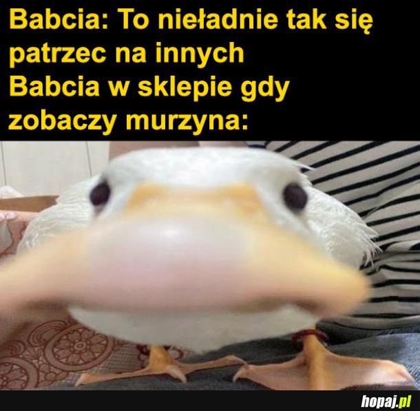  Babcia w sklepie 