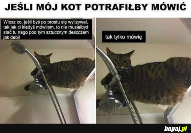 Prawda