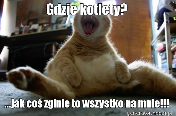 Gdzie kotlety?