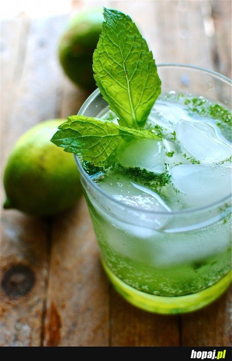 Mohito;p