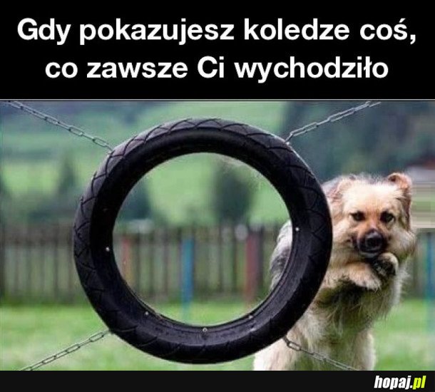 GDY POKAZUJESZ KOLEDZE COŚ, CO ZAWSZE CI WYCHODZIŁO