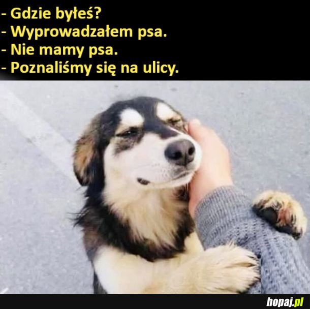 Kumpel z ulicy