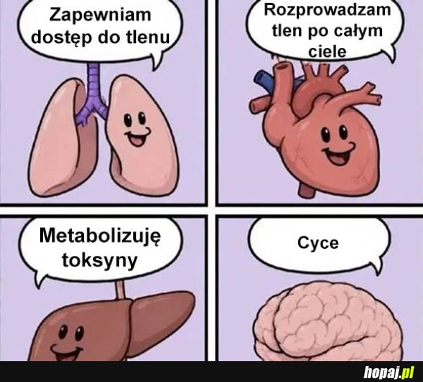 Mózg