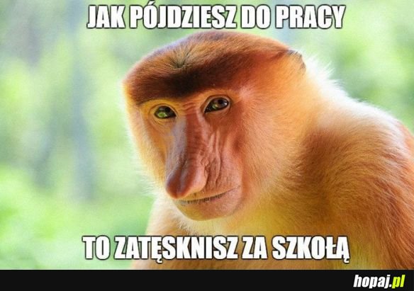 Jak pójdziesz do pracy