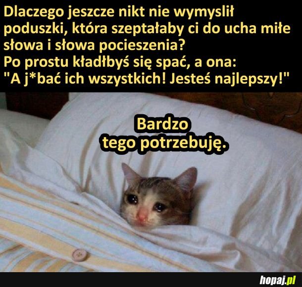 Chcę taką poduszkę