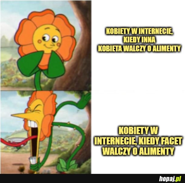 Alimenty.