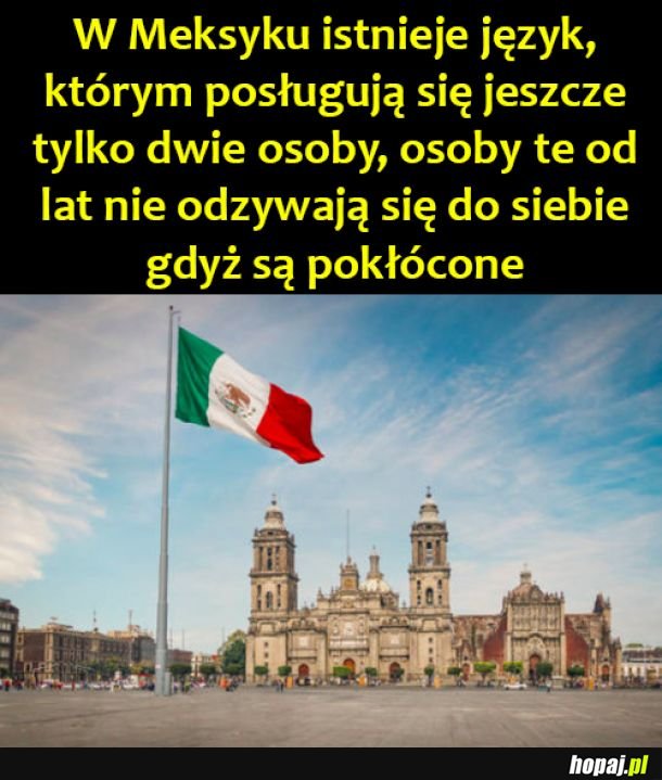 Co za pech