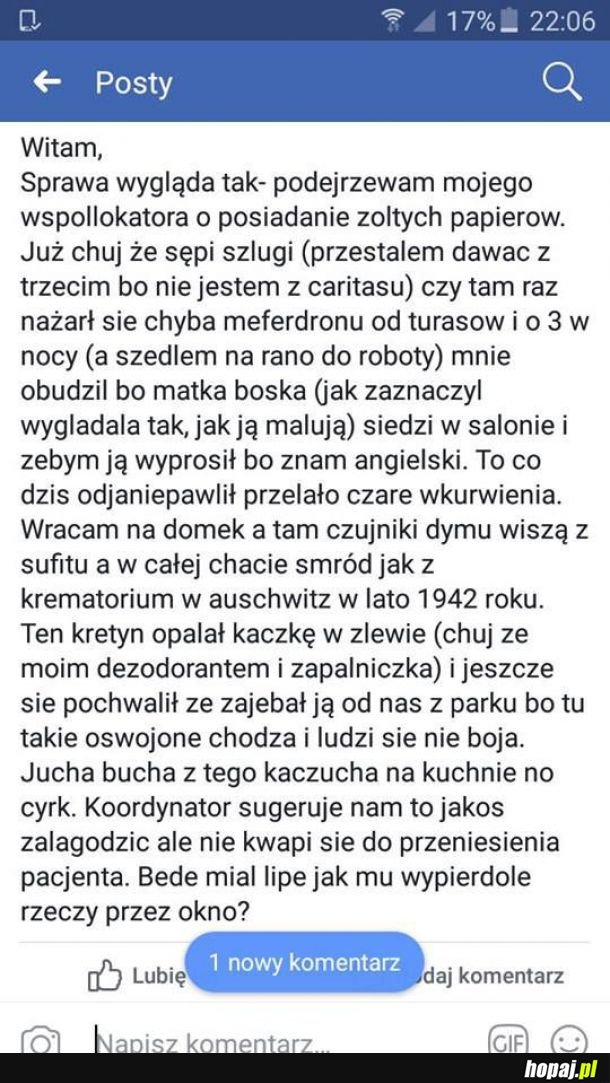 Fajny współlokator