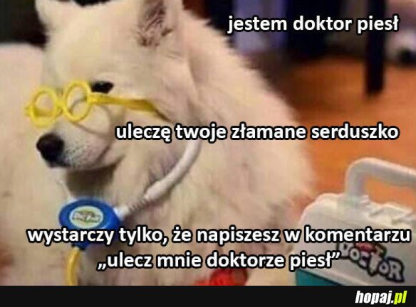 DOKTOR PIESŁ