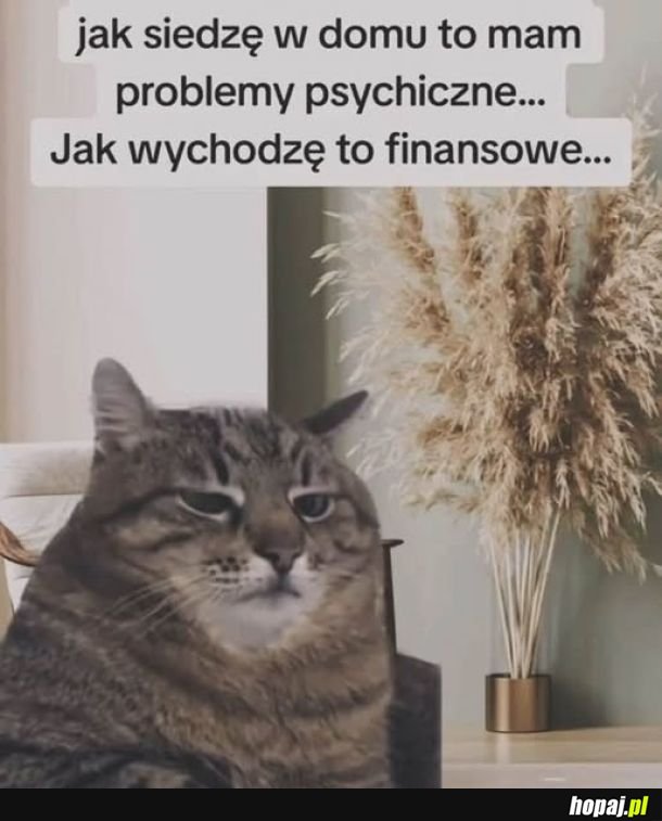 Problemy