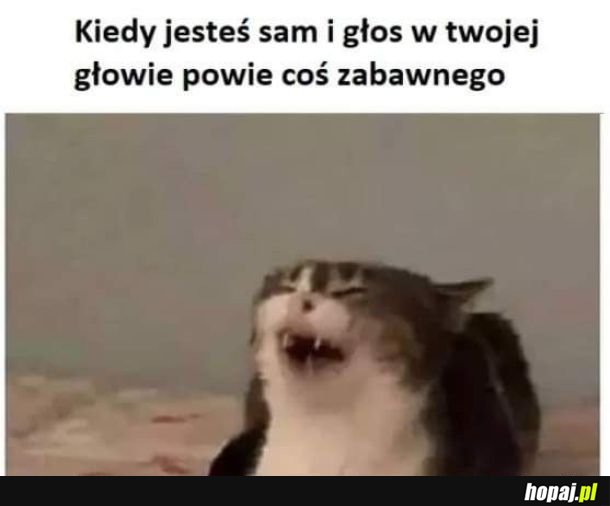 Głosy