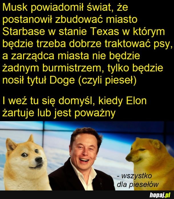 W sumie mógłbym tam rządzić